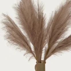 Plumeau Artificiel Brun 110cm Lot De 3 8 Plumeau Artificiel Brun 110cm Lot De 3 -Jardalis Soldes Magasin 0102d0de868f2ded