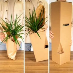 Tillandsia Et Son Support En Cube - H35cm, ø20cm - Plante D'intérieur Tombante -Jardalis Soldes Magasin 1d4ca7b43168e807
