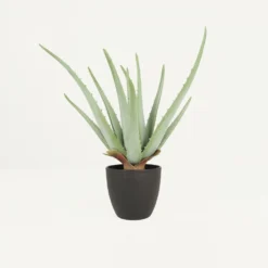 Aloe Vera Artificiel 35cm
