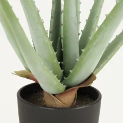 Aloe Vera Artificiel 35cm -Jardalis Soldes Magasin 3a5e870da98183ae