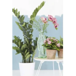 Emerald Zamioculcas Artificiel Vert 110 Cm 11.662c -Jardalis Soldes Magasin 3ffbe7d4c8fd8a5b