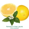 Pomelos A Chair Jaune Bio Tailles:pot De 3 Litres, Hauteur 30/40 Cm