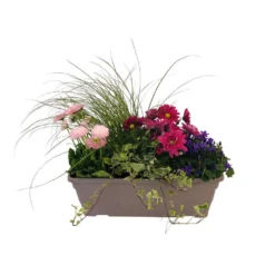 Jardinière De Bisannuelles Et Vivaces 40 Cm - Coloris Variables -Jardalis Soldes Magasin 417571 004