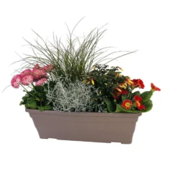 Jardinière De Bisannuelles Et Vivaces 40 Cm - Coloris Variables -Jardalis Soldes Magasin 417571 005