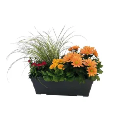 Jardinière De Bisannuelles Et Vivaces 40 Cm - Coloris Variables -Jardalis Soldes Magasin 417571 007