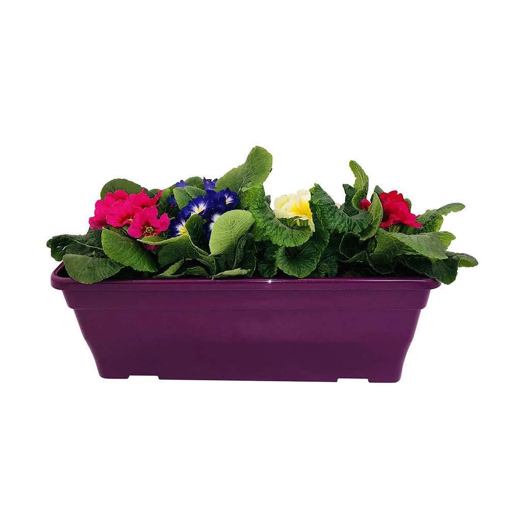 Primevères En Jardinière De 40cm Couleur - Coloris Variables 6 Primevères En Jardinière De 40cm Couleur - Coloris Variables – Image 6