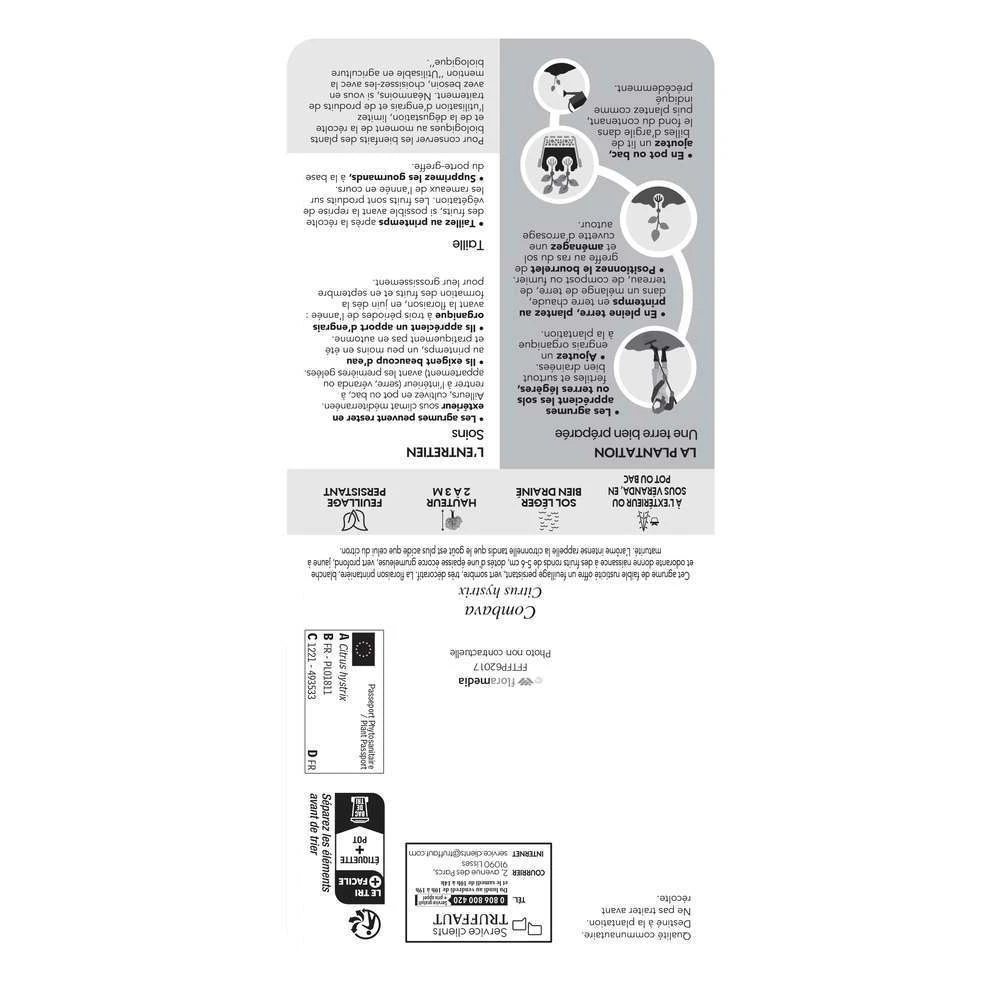 Combava AB :conteneur 3 Litres 3 Combava AB :conteneur 3 Litres – Image 3