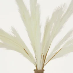 Plumeau Artificiel Crème 110cm Lot De 3 -Jardalis Soldes Magasin 4cbd7840188bab6e