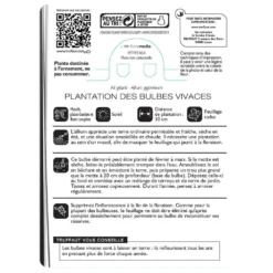 Allium Giganteum : C1L -Jardalis Soldes Magasin 585919 002