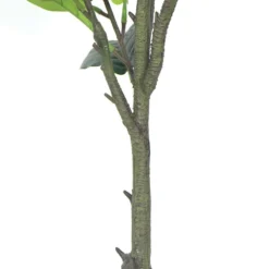 Plante Artificielle - Figuier 135cm 5 Plante Artificielle - Figuier 135cm -Jardalis Soldes Magasin 63cbb442b97305.38121552