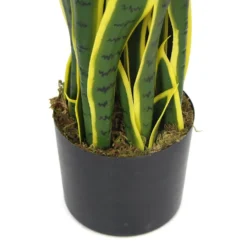 Plante Artificielle - Sanseviera Jaune 89cm 5 Plante Artificielle - Sanseviera Jaune 89cm -Jardalis Soldes Magasin 63cbb449e3c2a8.85755282