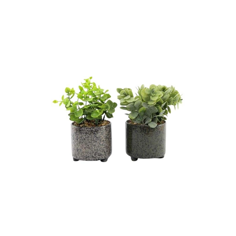 Plante Succulente Artificielle En Pot émaillé (lot De 2) 1 Plante Succulente Artificielle En Pot émaillé (lot De 2)