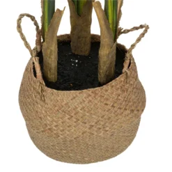 ATMOSPHERA Plante Artificielle Strelitzia En Pot H 120 Cm 5 ATMOSPHERA Plante Artificielle Strelitzia En Pot H 120 Cm -Jardalis Soldes Magasin 63eb35d14b1dd9.95368097