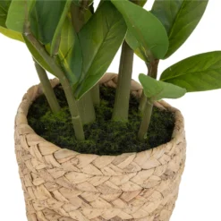 ATMOSPHERA Plante Artificielle Zamio En Pot H 41 Cm 5 ATMOSPHERA Plante Artificielle Zamio En Pot H 41 Cm -Jardalis Soldes Magasin 63eb35dbddde12.31611138