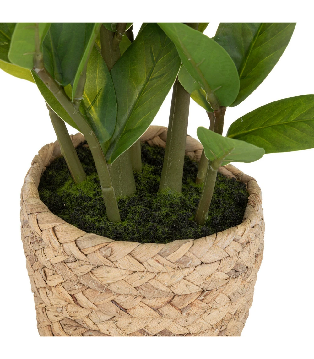 ATMOSPHERA Plante Artificielle Zamio En Pot H 41 Cm 3 ATMOSPHERA Plante Artificielle Zamio En Pot H 41 Cm – Image 3