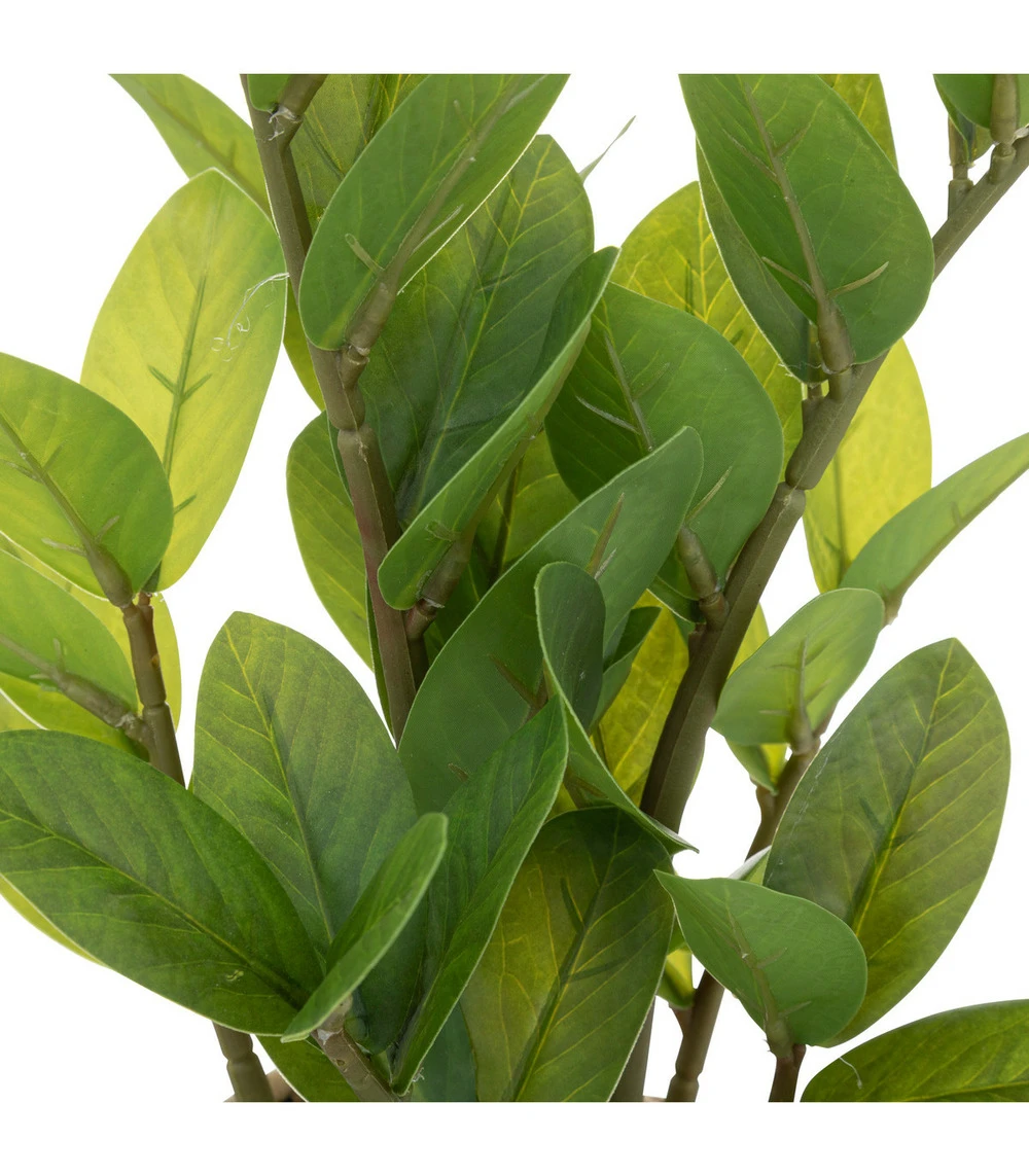 ATMOSPHERA Plante Artificielle Zamio En Pot H 41 Cm 2 ATMOSPHERA Plante Artificielle Zamio En Pot H 41 Cm – Image 2