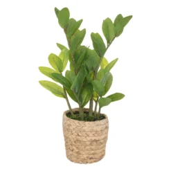 ATMOSPHERA Plante Artificielle Zamio En Pot H 41 Cm