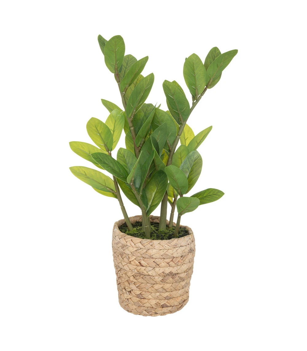ATMOSPHERA Plante Artificielle Zamio En Pot H 41 Cm 1 ATMOSPHERA Plante Artificielle Zamio En Pot H 41 Cm