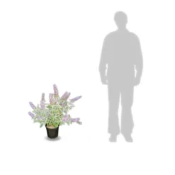 Arbre Aux Papillons Davidii Lochinch/pot De 7,5l - 60/80 Cm 5 Arbre Aux Papillons Davidii Lochinch/pot De 7,5l - 60/80 Cm -Jardalis Soldes Magasin 63f4b609315102.48815059