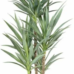 Yucca Artificiel Multitroncs En Pot H 150 Cm Feuillage Plastique -Jardalis Soldes Magasin 63f6081fa7ec67.28473252