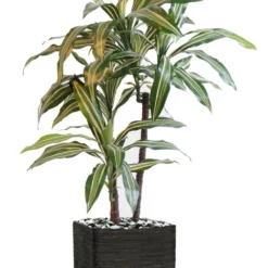 Dracaena Artificiel 3 Têtes H 90 Cm En Pot Vert-jaune -Jardalis Soldes Magasin 63f6082779db42.86989259