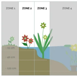 6x Mélange De Plantes De Bassin Riches En Oxygène - Zone 2 & 3 - ⌀9 Cm - ↕15-25 Cm 7 6x Mélange De Plantes De Bassin Riches En Oxygène - Zone 2 & 3 - ⌀9 Cm - ↕15-25 Cm -Jardalis Soldes Magasin 640b206c6a2ce1.52553402