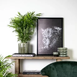 Chamaedorea Elegans - Palmier Nain Mexicain - Purificateur D'air – ⌀17 Cm - ↕50-60 Cm 7 Chamaedorea Elegans - Palmier Nain Mexicain - Purificateur D'air – ⌀17 Cm - ↕50-60 Cm -Jardalis Soldes Magasin 640b21045e72a5.33117055