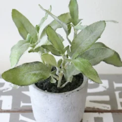 Herbe Aromatique Artificielle Sauge H 17 Cm, D 16cm