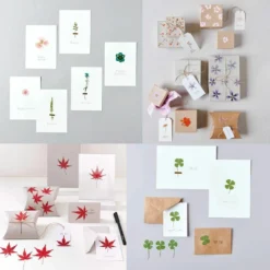 6 Sets De Feuilles/ Fleurs Séchées Et Pressées 5 6 Sets De Feuilles/ Fleurs Séchées Et Pressées -Jardalis Soldes Magasin 6425846d3b8cc9.86737615