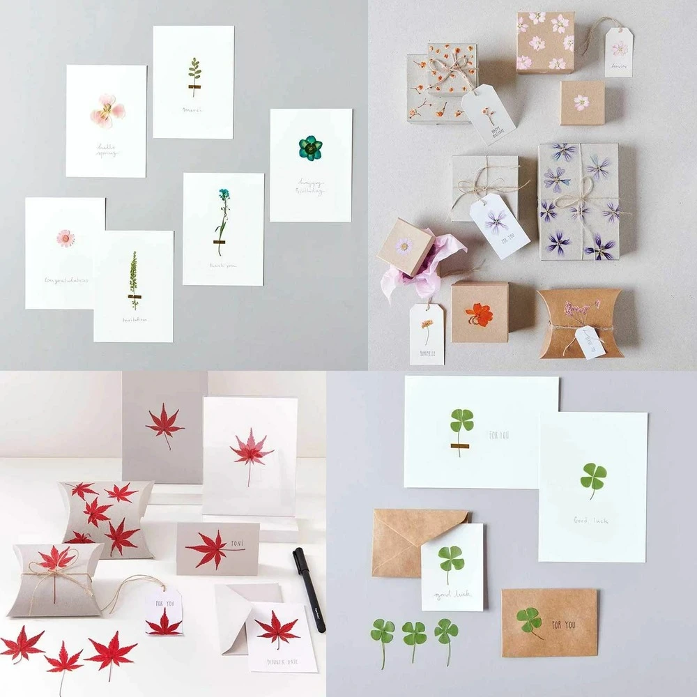 6 Sets De Feuilles/ Fleurs Séchées Et Pressées 3 6 Sets De Feuilles/ Fleurs Séchées Et Pressées – Image 3