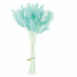 Lagurus Séchés Turquoise - 45 Cm -Jardalis Soldes Magasin 64258471aa7a19.88492260
