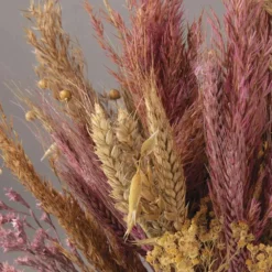 Assortiment De Fleurs Séchées -Jardalis Soldes Magasin 6425847a202a54.72738169