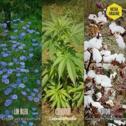 Coffret De Semences Textile Tissus Etoffe Et Fil -Jardalis Soldes Magasin 642d66ace6f211.93606402