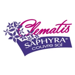 Clématite Saphyra® Violetta "m32-10'/godet - 5/10 Cm -Jardalis Soldes Magasin 645d8585385793.88311540