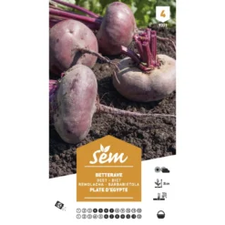 Graines Potagères Betterave Plate D'egypte