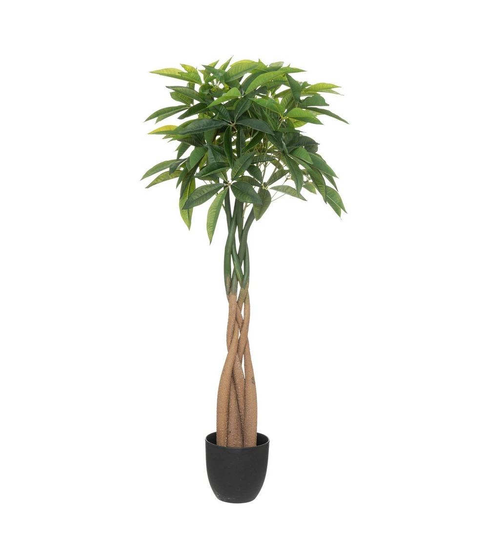 ATMOSPHERA Plante Artificielle Arbre Pachira En Pot H 110 Cm 1 ATMOSPHERA Plante Artificielle Arbre Pachira En Pot H 110 Cm
