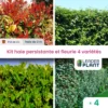 Kit Haie Persistante Et Fleurie - 4 Variétés - Lot De 4 Plants En Pot De 4 L