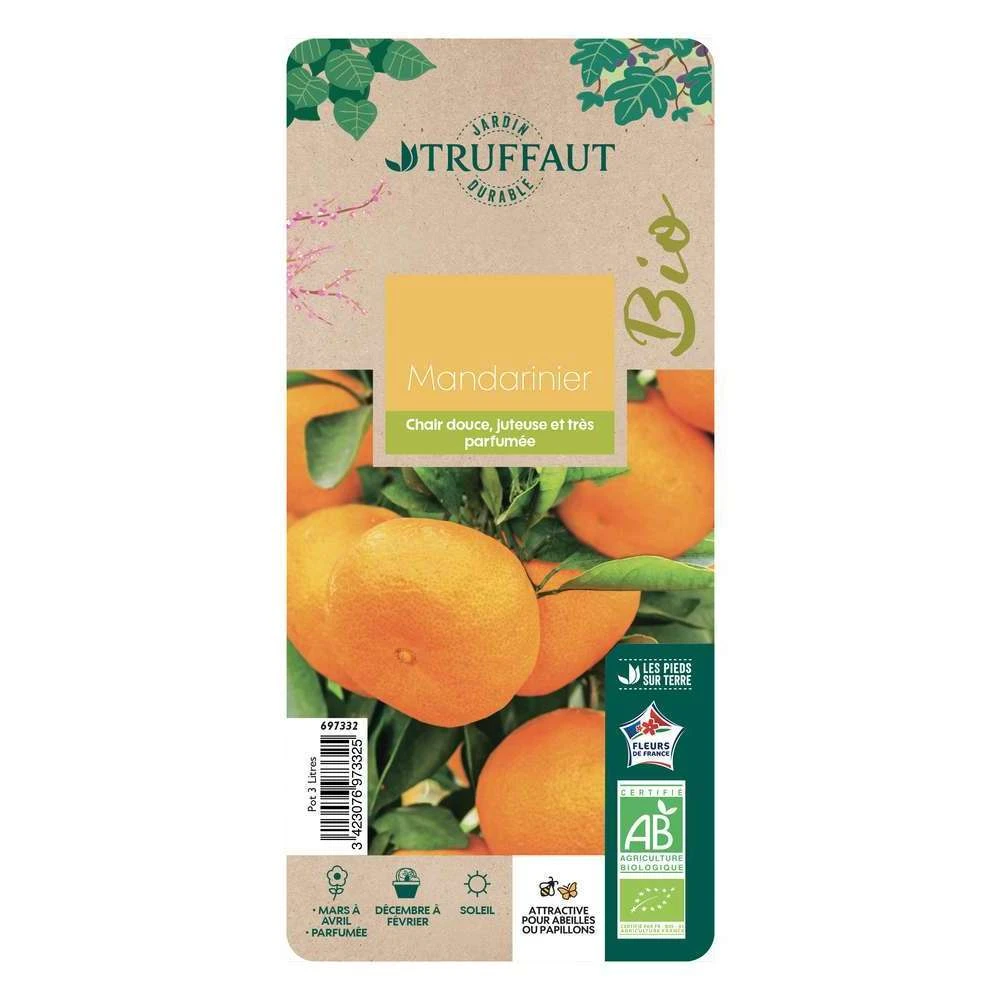 Mandarinier : C3L, Agriculture Biologique 1 Mandarinier : C3L, Agriculture Biologique