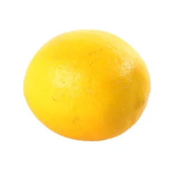 Citronnier X Meyer : AB C3L 9 Citronnier X Meyer : AB C3L -Jardalis Soldes Magasin 697337 007