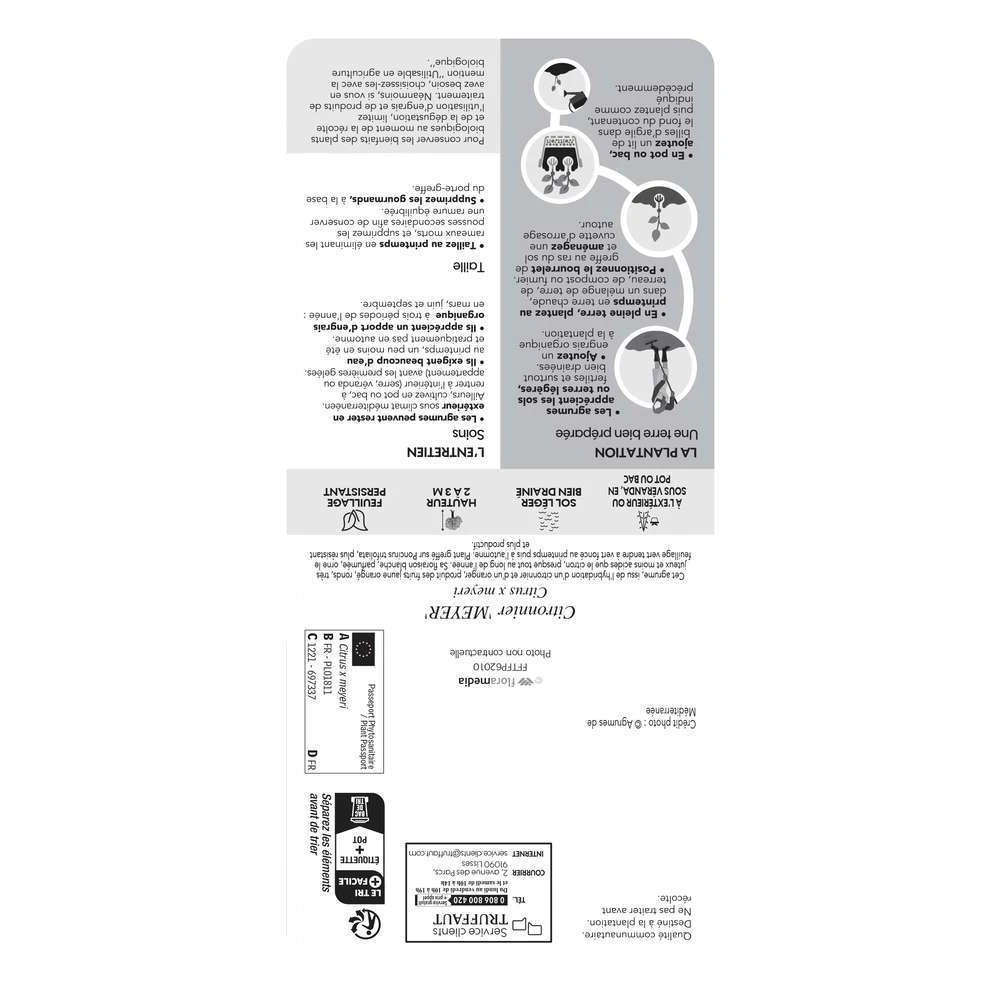 Citronnier X Meyer : AB C3L 2 Citronnier X Meyer : AB C3L – Image 2