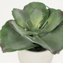 Succulente Artificielle Pot Effet Ciment 17cm -Jardalis Soldes Magasin 7c639e557cc4fdd4