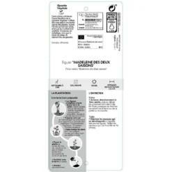 Figuier 'Madeleine Des 2 Saisons':pot 5L -Jardalis Soldes Magasin 831275 002