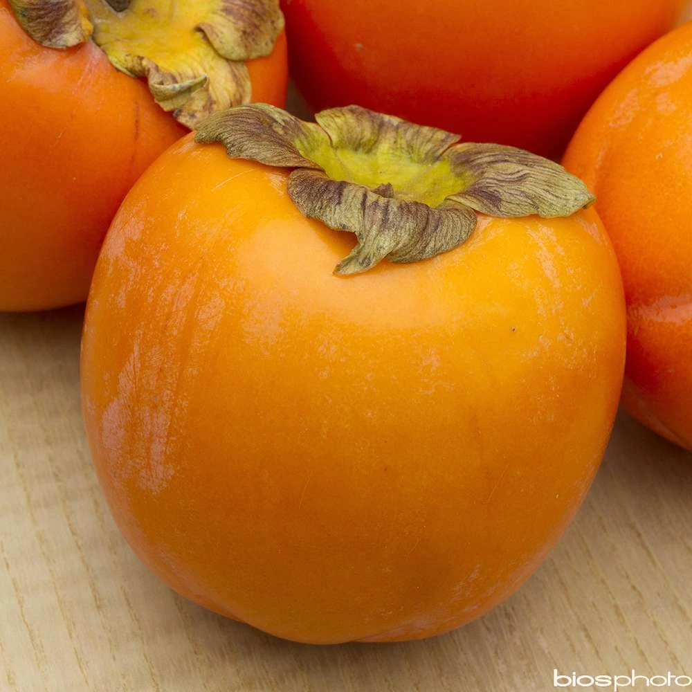 Kaki 'Rouge Brillant 1/2T Pot 15L 2 Kaki 'Rouge Brillant 1/2T Pot 15L – Image 2