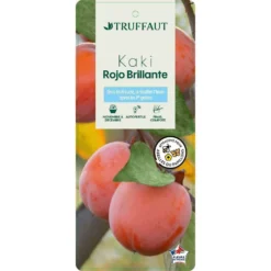 Kaki 'Rouge Brillant 1/2T Pot 15L 6 Kaki 'Rouge Brillant 1/2T Pot 15L -Jardalis Soldes Magasin 952752 002