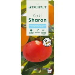 Kaki "Sharon" 1/2T Pot 15L -Jardalis Soldes Magasin 952753 003