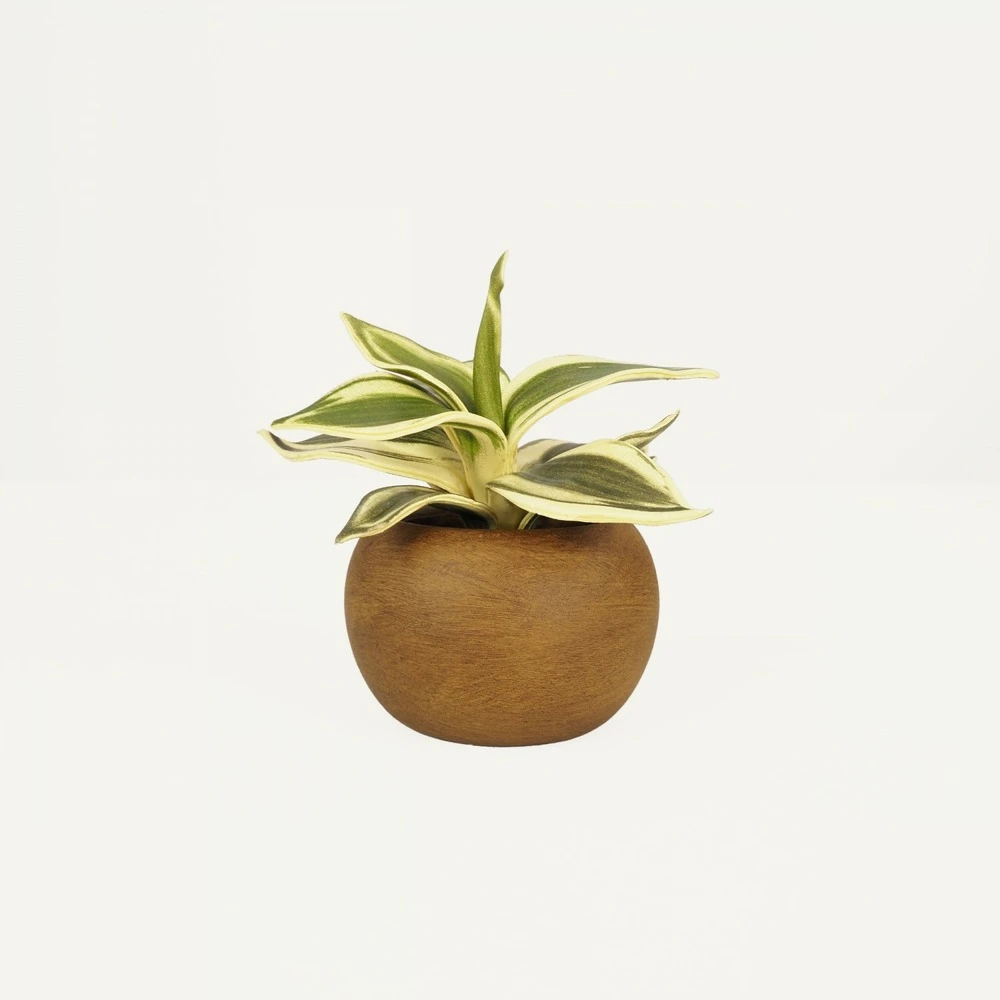 Plante Verte Artificielle Pot Effet Bois 14cm 1 Plante Verte Artificielle Pot Effet Bois 14cm