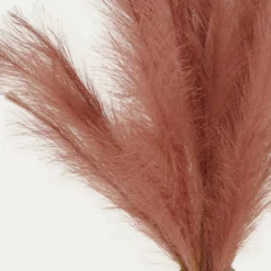 Plumeau Artificiel Terracotta 110cm Lot De 3 -Jardalis Soldes Magasin c4332bdda24780af