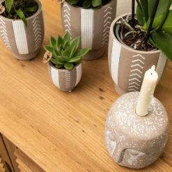 Echeveria Miranda - H13cm, ø9cm - Plante D'intérieur 8 Echeveria Miranda - H13cm, ø9cm - Plante D'intérieur -Jardalis Soldes Magasin f209523da1b249a5